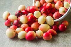 Karonda : தவிர்க்கக்கூடாத காய் கலாக்காய்.. அற்புதமான பயன்கள் என்னென்ன?