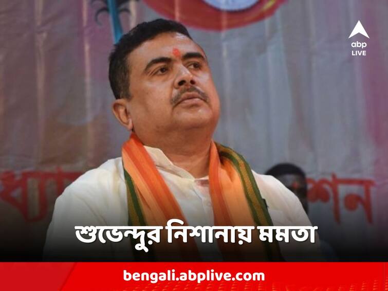 Pisi using government employees to conduct primary election of candidates of TMC, suvendu attack mamata banerjee Suvendu Adhikari: 'সরকারি কর্মীদের ব্যবহার করছে পিসি' ট্যুইটে ফের মমতাকে নিশানা শুভেন্দুর