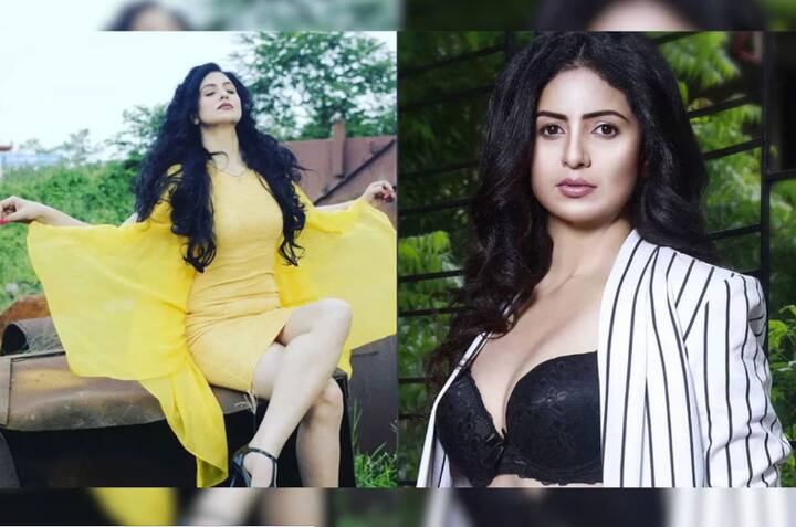 हसीन जहाँ एक व्यावसायिक मॉडेल आहे. ती मूळची कोलकाताची आहे. ती कोलकाता नाईट रायडर्सची चीअर लीडर देखील होती.