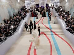 MET Gala 2023: Chilled Spring Pea Soup To Truffle Snow- Netizens Call The Dinner Menu 'Disgusting'