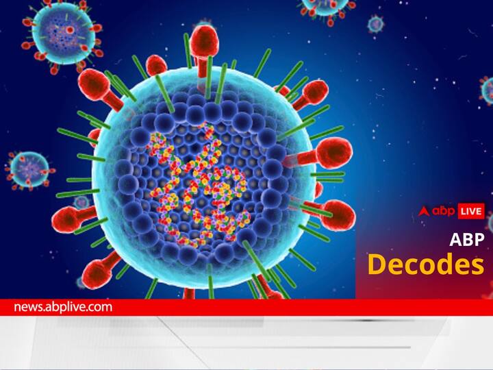 World First Respiratory Syncytial Virus Vaccine Approved Arexvy United States Food And Drug Administration GSK All About The Virus And Vaccine World's First Respiratory Syncytial Virus Vaccine Approved: All About The Virus And Vaccine