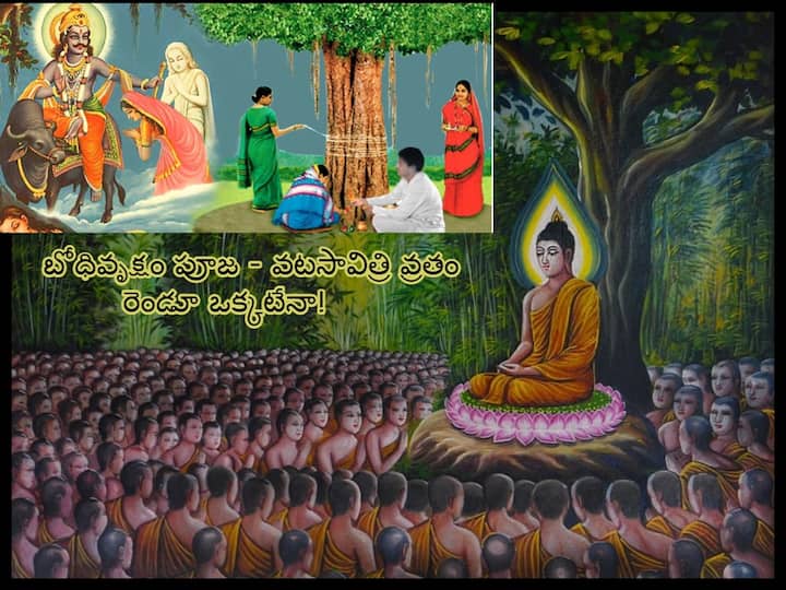 Buddha Purnima 2023:importance and significance of buddha purnima the day of Vaishakh Purnima Buddha Purnima 2023: మే 5 బుద్ధ పౌర్ణమి, బోధివృక్షం పూజ - వటసావిత్రి వ్రతం  రెండూ ఒక్కటేనా!
