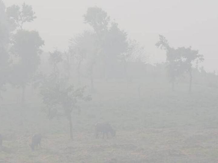 भारतीय मौसम विज्ञान विभाग (IMD) ने दिल्ली-एनसीआर में अगले पांच दिनों तक ओले और बारिश की भविष्यवाणी करते हुए अलर्ट जारी किया है.