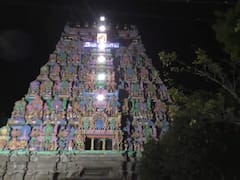 கரூர் பசுபதீஸ்வரர் ஆலயத்தை அவதார திருநாள் பவனி விழா