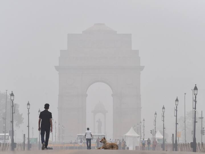 Delhi Fog News New Delhi Witnesses Rare Fog, Third Coldest May Morning Since 1901 Rains From May 5 Friday IMD Delhi Witnesses Rare Fog, Records 3rd Coldest May Morning Since 1901. Weather Dept Officials Reveal Reason