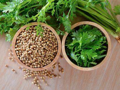 Summer Tips Food to include and avoid What the doctor Says Summer Tips: கோடையில் கட்டாயம் தவிர்க்கக் கூடாத உணவுகள் என்னென்ன? தவிர்க்க வேண்டிய உணவுகள் என்னென்ன?