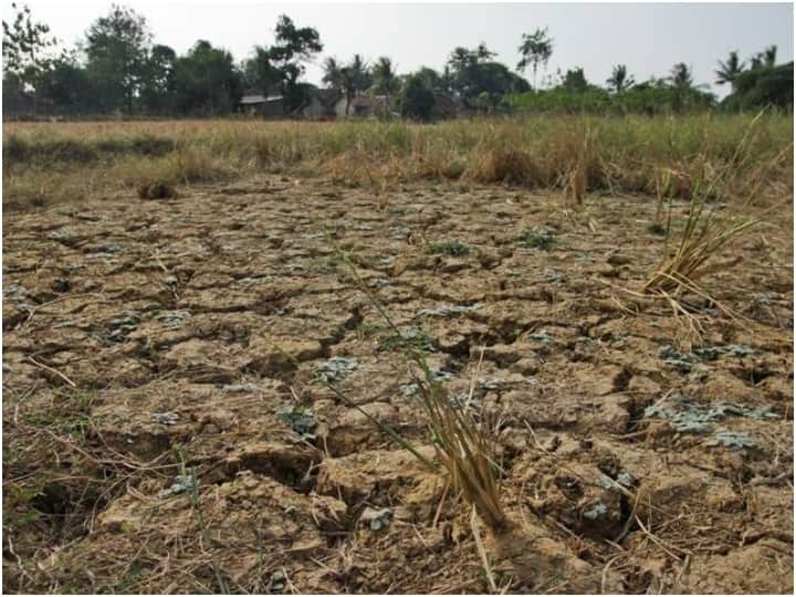Tamil Nadu Drought Preparedness Centre Reviews Drought Preparedness Of Tamil Nadu After 10 Districts Record Deficit Rains Centre Reviews Drought Preparedness Of Tamil Nadu After 10 Districts Record Deficit Rains
