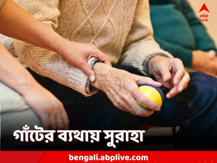 Health Tips:  গরম এবং আর্দ্র আবহাওয়া আর্থারাইটিসের রুগীদের সমস্যা বাড়িয়ে দেয়। উচ্চ তাপমাত্রা এবং আর্দ্রতা ডিহাইড্রেশন ঘটায় যা গাঁটের  সমস্যা বৃদ্ধি করে।