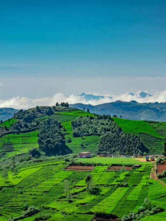 ये हैं भारत के सबसे गंदे हिल स्टेशन