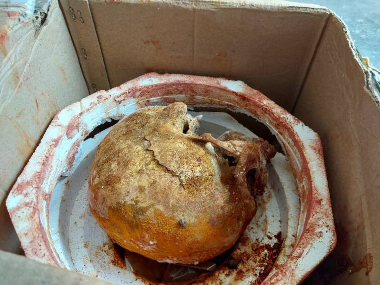 Thanjavur: Jamaat leader's skull arrived by courier - stir near thiruvaiyaru TNN Thanjavur: ஜமாத் தலைவருக்கு கூரியரில் வந்த மண்டையோடு - திருவையாறு அருகே பரபரப்பு