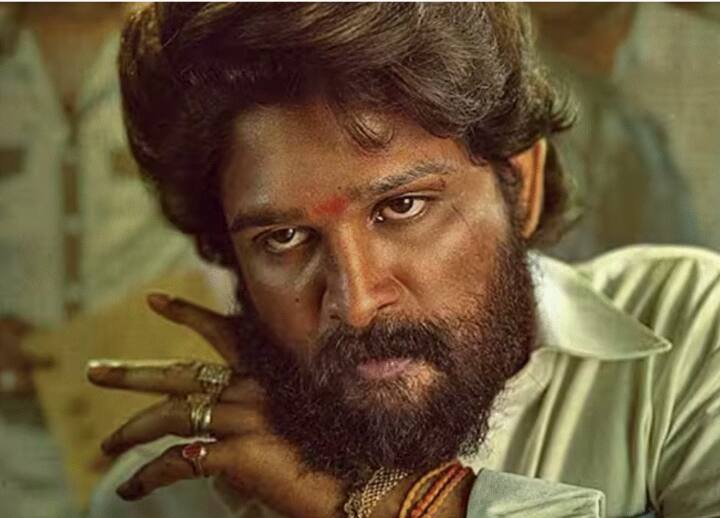 अल्लू अर्जुनच्या (Allu Arjun) पुष्पा-2 (Pushpa 2) या चित्रपटाची त्याचे चाहते उत्सुकतेने वाट बघत आहेत.