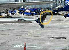 मधुमक्खियों ने अमेरिका में डेल्टा एयरलाइन्स की फ्लाइट कराई घंटों लेट, जानें पूरा मामला