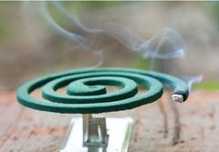 100 ਸਿਗਰੇਟਾਂ ਪੀਣ ਦੇ ਬਰਾਬਰ ਹੁੰਦੈ ਕਮਰੇ 'ਚ Mosquito Repellant ਜਲਾਉਣਾ...