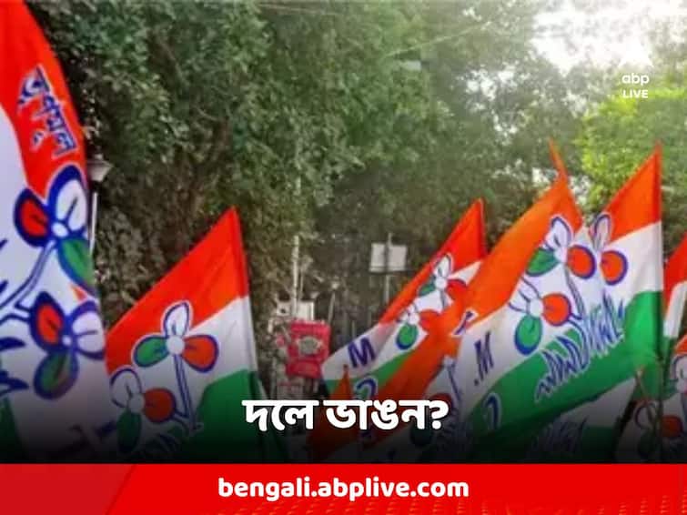 Disintegration of the party in the stronghold, 500 supporters left Trinamool and went to Congress South 24 Parganas: শক্ত ঘাঁটিতেই দলের ভাঙন, তৃণমূল ছেড়ে কংগ্রেসে গেলেন ৫০০ সমর্থক