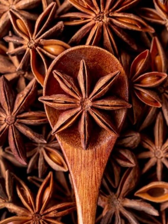 फायदों से भरा हुआ है चक्र फूल, गैस की समस्या का है रामबाण इलाज