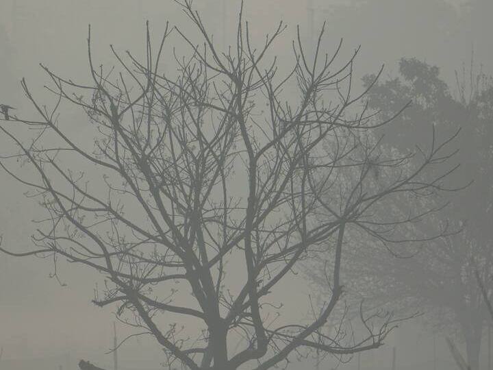 एक यूजर ने लिखा कि मई के महीने में #Noida #DelhiNCR में घना कोहरा. अविश्वसनीय! लेकिन यह सच है.