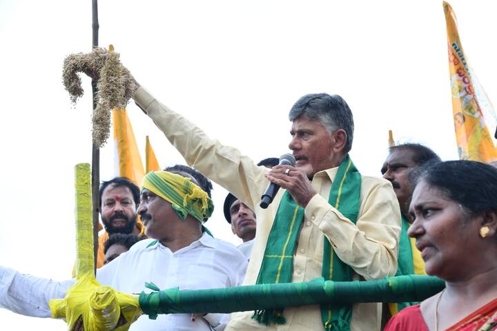 వర్షాలకు తడిచి మెలకలు వచ్చిన ధాన్యాన్ని చూపిస్తున్న చంద్రబాబు