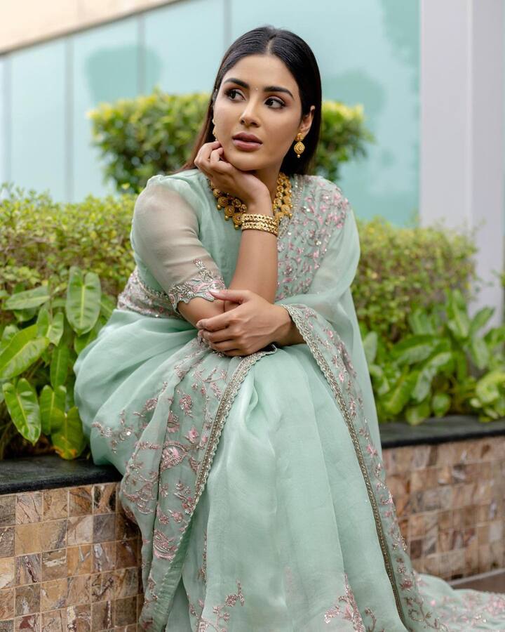 'బింబిసార', 'సార్'  లాంటి  సినిమాలతో మంచి హిట్స్ అందుకుంది.
