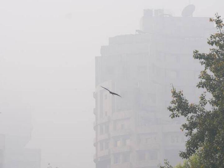 सोशल मीडिया में कई लोग कोहरे की तस्वीरें शेयर कर रहे हैं.