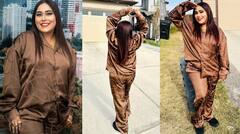 Afsana Khan: ਅਫਸਾਨਾ ਖਾਨ ਕੈਨੇਡਾ 'ਚ ਕਰ ਰਹੀ ਖੂਬ ਮਸਤੀ, ਸਾਂਝੀਆਂ ਕੀਤੀਆਂ ਸ਼ਾਨਦਾਰ ਤਸਵੀਰਾਂ