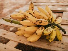 রুক্ষ-শুষ্ক ত্বকে ভরসা কলার ফেসপ্যাক, দূর করে বলিরেখা, বাড়ায় উজ্জ্বলতা