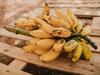 Banana Skin Benefits: রুক্ষ-শুষ্ক ত্বকে ভরসা কলার ফেসপ্যাক, দূর করে বলিরেখা, বাড়ায় উজ্জ্বলতা