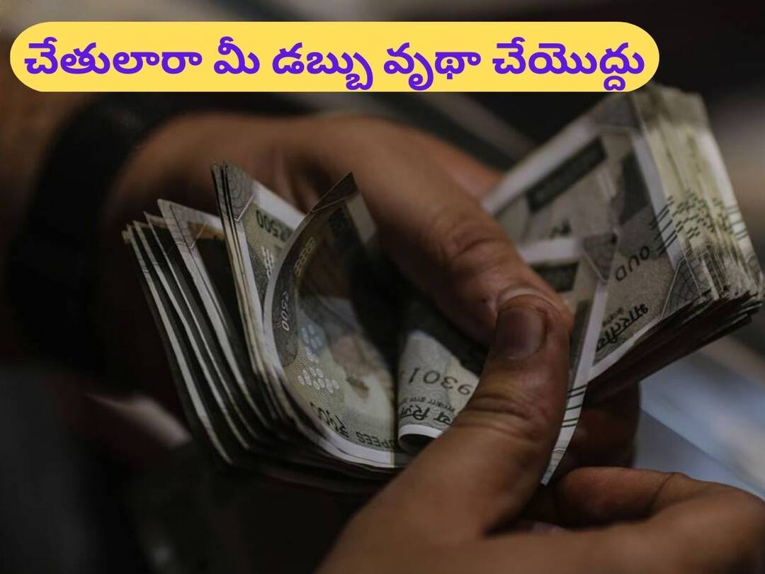 Investment: పొదుపు మాత్రమే చేస్తే మీ డబ్బు వృథా, ఈ విధంగా విలువ పెంచండి Principles Of Investment only savings are not enough to create wealth Investment: పొదుపు మాత్రమే చేస్తే మీ డబ్బు వృథా, ఈ విధంగా విలువ పెంచండి