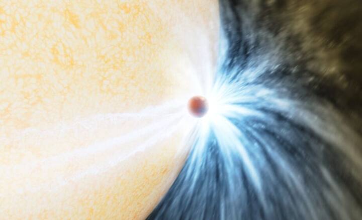 খাদ্য-খাদক সম্পর্কের ব্যাপারে ওয়াকিবহাল আমরা সকলেই। দুর্বলকে গিলে ফেলে সবলের বেঁচে থাকার তত্ত্বও মোটামুটি জানি আমরা। তবে পৃথিবীর বুকে বাস্তুতন্ত্রের ক্ষেত্রেই শুধু এই তত্ত্ব খাটে না। মহাজাগতিক কর্মকাণ্ডও যে এই নীতি মেনেই ঘটে চলে, এ বার হাতেনাতে তার প্রমাণ মিলল।