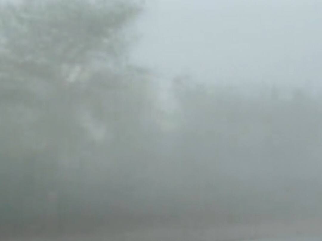 WATCH: Thick Layer Of Fog Engulfs Delhi-NCR After Day-Long Rains WATCH: Thick Layer Of Fog Engulfs Delhi-NCR After Day-Long Rains WATCH: Thick Layer Of Fog Engulfs Delhi-NCR After Day-Long Rains
