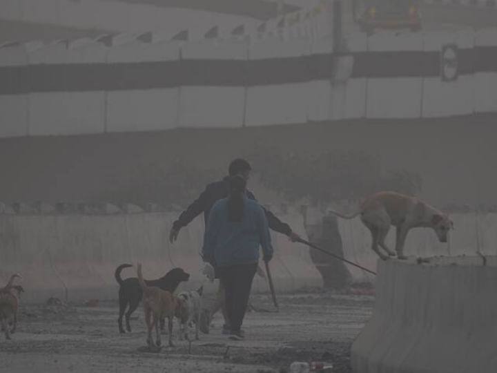 दिल्ली-एनसीआर में इस बेमौसम बारिश और कोहरे की स्थिति ने लोगों को सर्दियों के कपड़े निकालने के लिए मजबूर कर दिया है.