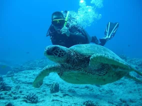 Scuba Diving In India: સમુદ્રી જીવોની જિંદગીને નજીકથી જોવાના શોખીનો માટે સ્કૂબા ડાઇવિંગથી બેસ્ટ અને શાનદાર રીત બીજી કોઇ નથી.