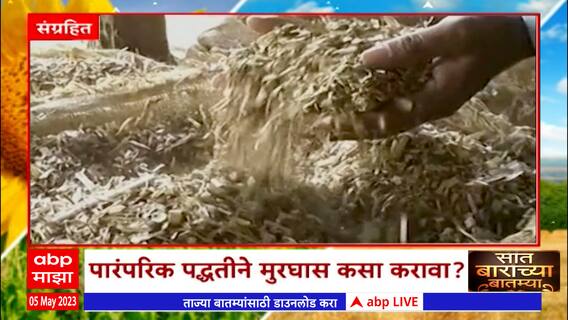 Saat Barachya Batmya : पारंपारिक पद्धतीने मुरघास कसा करावा?, पशुपालकाला मुरघासाचा आधार : ABP Majha