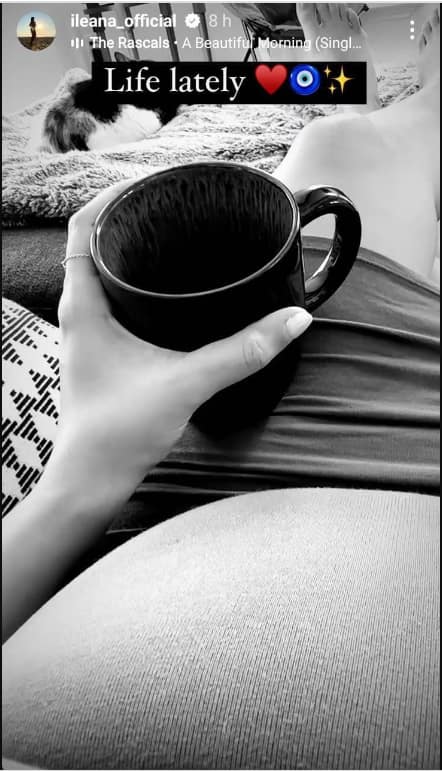 Ileana D'Cruz: প্রকাশ্য়ে বেবি বাম্পের ছবি, ইলিয়ানার সন্তানের বাবা কে?