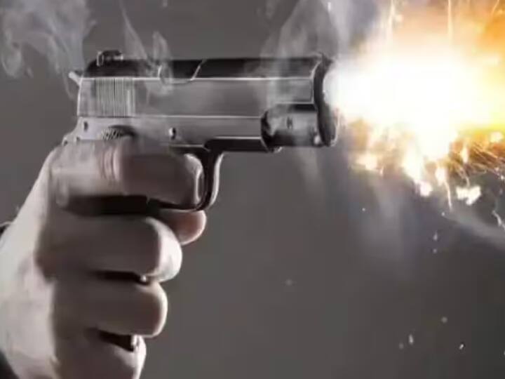 Serbian Mladenovac Dubona village gun shooting in many kills several injured Serbia Shooting: सर्बिया के गांव में अंधाधुंध फायरिंग, हमले में 8 लोगों की मौत