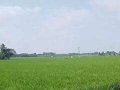 கரூரில் வண்டல் மண் எடுக்க அனுமதி - விவசாயிகள் மகிழ்ச்சி