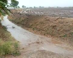 Gandhinagar: કમોસમી વરસાદના કારણે થયેલ પાક નુકશાની માટે રાહત પેકેજ માટેની માર્ગદર્શિકા થઈ જાહેર, જાણો કોને મળશે લાભ