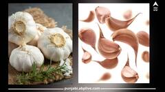 Health News: ਬੇਹੱਦ ਲਾਹੇਵੰਦ ਹੈ 'ਭੁੰਨਿਆ ਲਸਣ', ਜਾਣੋ ਇਸ ਦੇ ਫਾਇਦੇ