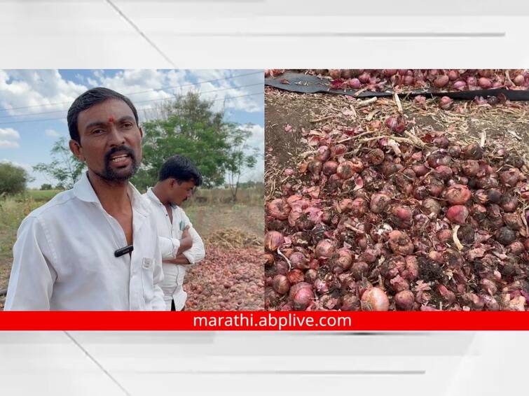 Maharashtra News Chhatrapati Sambhaji Nagar Arrest me for gambling on onions Emotional videos of farmers go viral Video : कांद्यावर जुगार खेळलो मला अटक करा, शेतकऱ्यांचा भावनिक व्हिडिओ व्हायरल