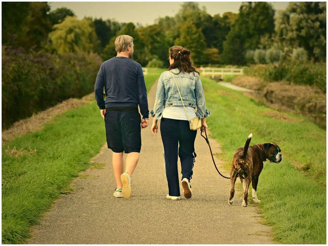 If you do this after eating, diabetes is sure to be under control Diabetes: భోజనం చేశాక ఇలా చేస్తే చాలు, మధుమేహం అదుపులో ఉండడం ఖాయం