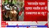 Jitendra Awhad : अशा परिस्थितीत शरद पवार या देशाला पोरकं करु शकत नाही : जितेंद्र आव्हाड
