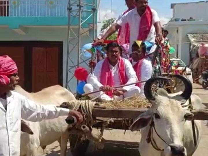 Gariaband marriage procession on Bullock cart BJP MP Chunni Lal Sahu drove bulls Chhattisgarh Ann Chhattisgarh: गरियाबंद में बैलगाड़ी से निकली बारात, बीजेपी सांसद चुन्नी लाल साहू ने हांका बैल