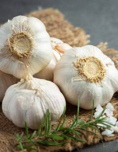 Health News: ਬੇਹੱਦ ਲਾਹੇਵੰਦ ਹੈ 'ਭੁੰਨਿਆ ਲਸਣ', ਜਾਣੋ ਇਸ ਦੇ ਫਾਇਦੇ