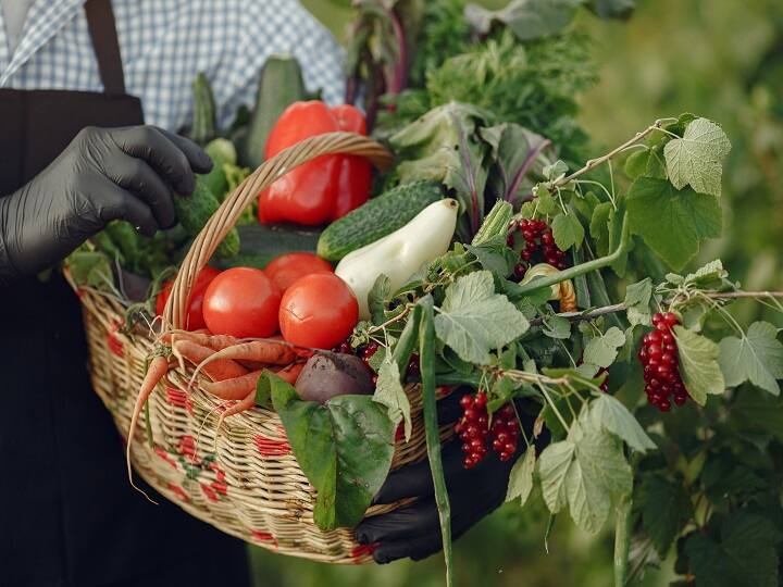 vegetable production in Rajasthan Farmer Rameshwar  is earning lakhs Vegetables Cultivation: सब्जी से ही चमक गई किसान की तकदीर, सालाना इतने लाख रुपये की हो रही कमाई