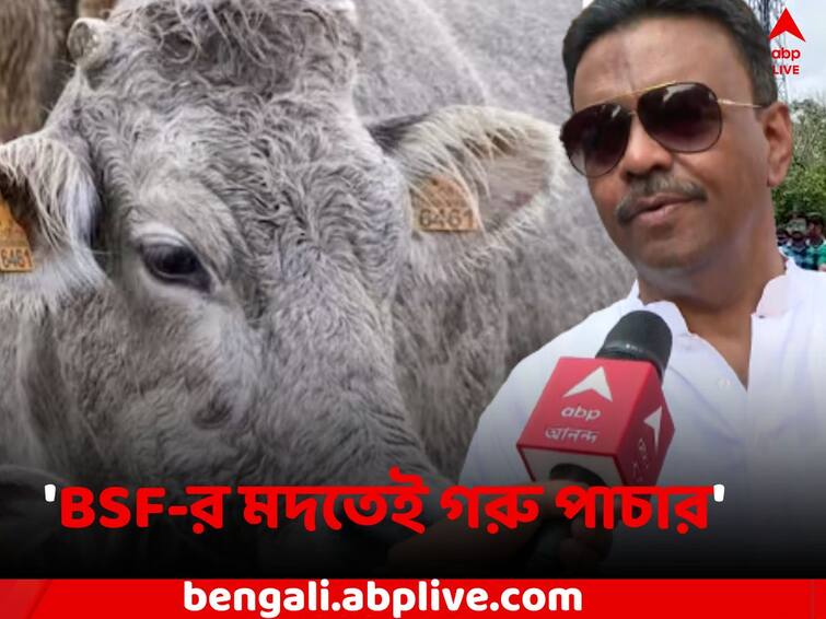 Cow Smuggling Case: Firhad Hakim gives reaction on ED Chargesheet on Cattle scam Firhad Hakim: 'BSF-র মদতেই গরু পাচার, ED-র চার্জশিটে প্রমাণিত', মন্তব্য ফিরহাদের