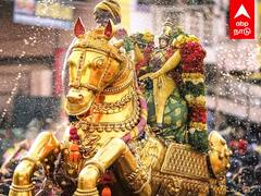 Kallalagar : பச்சை பட்டுடுத்தி வைகையாற்றில் இறங்கிய கள்ளழகர்.. விண் அதிர பக்தி கோஷம்