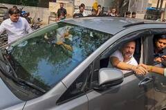 In Pics:  ਦਿੱਲੀ ਯੂਨੀਵਰਸਿਟੀ ਦੇ ਵਿਦਿਆਰਥੀਆਂ ਨਾਲ ਰਾਹੁਲ ਗਾਂਧੀ ਨੇ ਕੀਤਾ ਲੰਚ, ਵੇਖੋ ਤਸਵੀਰਾਂ