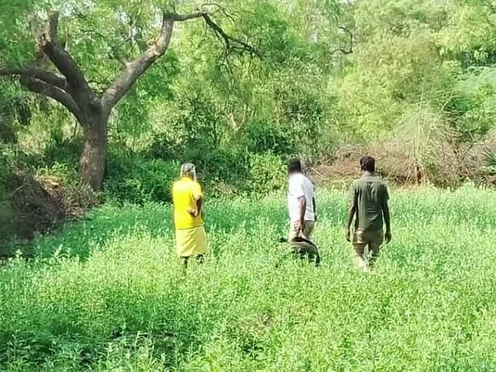 கரூரில் வண்டல் மண் எடுக்க அனுமதி - விவசாயிகள் மகிழ்ச்சி