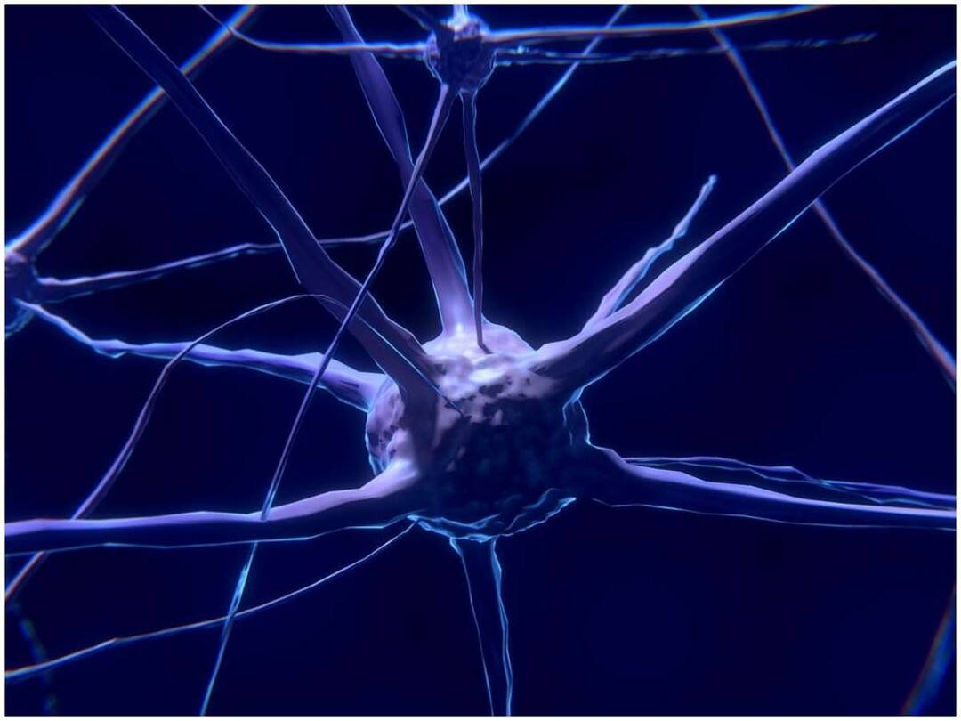 When he sneezes, the nerves in his brain are crushed, and he can go to the brink of death Sneezing: అతను తుమ్మితే ఏకంగా మెదడులో నరాలు చిట్లిపోయాయి, చావు అంచుల దాకా వెళ్ళొచ్చాడు