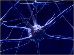 Sneezing: అతను తుమ్మితే ఏకంగా మెదడులో నరాలు చిట్లిపోయాయి, చావు అంచుల దాకా వెళ్ళొచ్చాడు