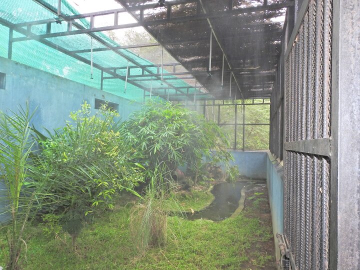Vandalur Zoo : வண்டலூர் உயிரியல் பூங்காவில் 